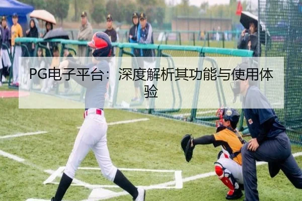 PG电子平台:深度解析其功能与使用体验